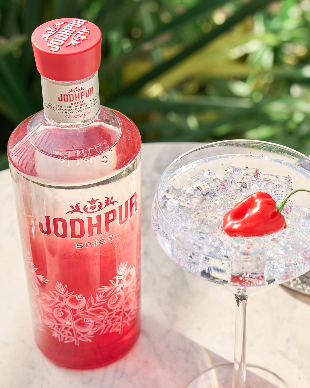 Jodhpur Spicy